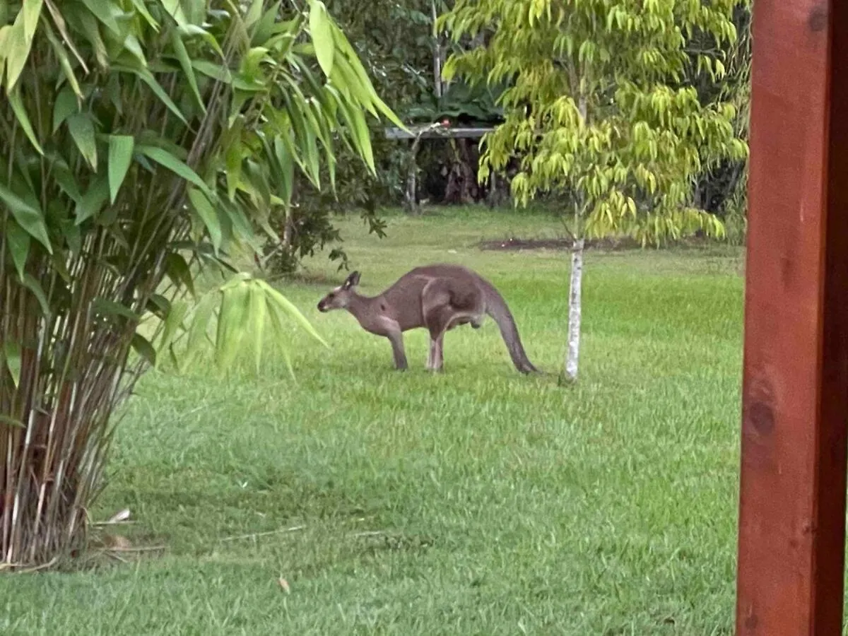 Private Country 1 Bedroom Cabin Landsborough 0*,  Australia