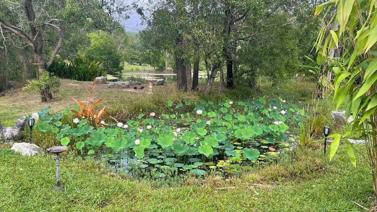Private Country 1 Bedroom Cabin Landsborough